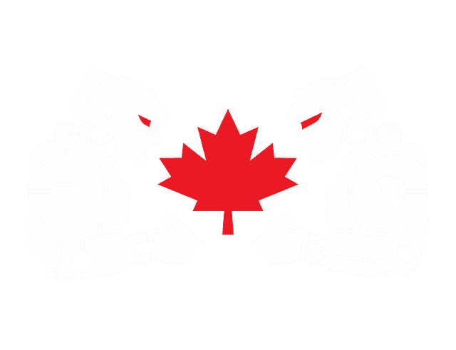 BotBrawl