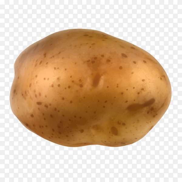 Potato-Bot